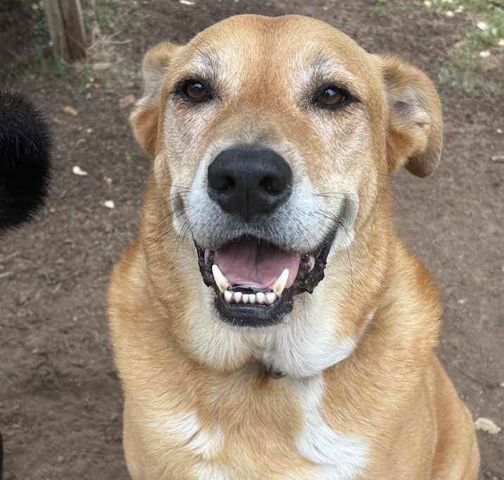 Photo of TEDDY