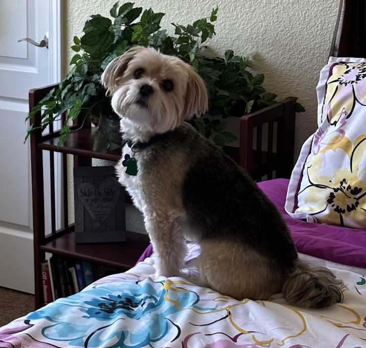 Photo of Charlie