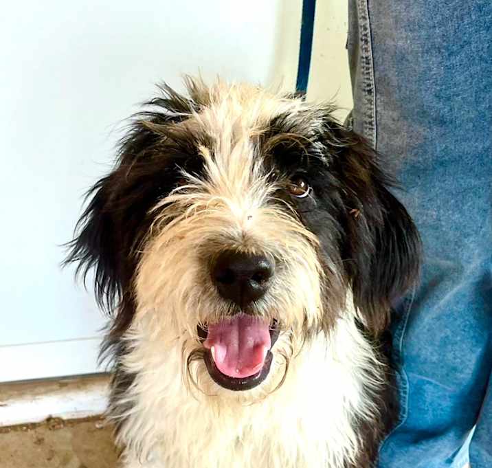 Photo of Lucy