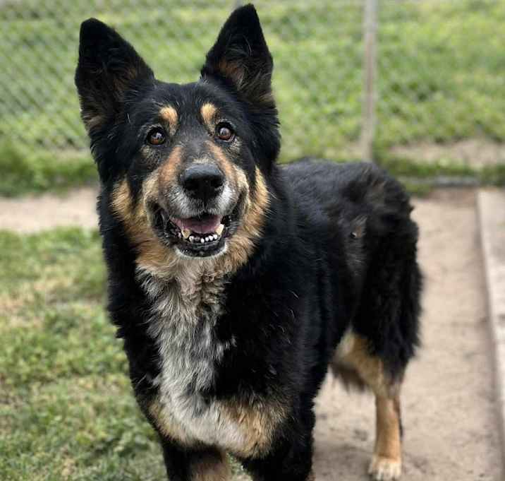 Photo of Precious