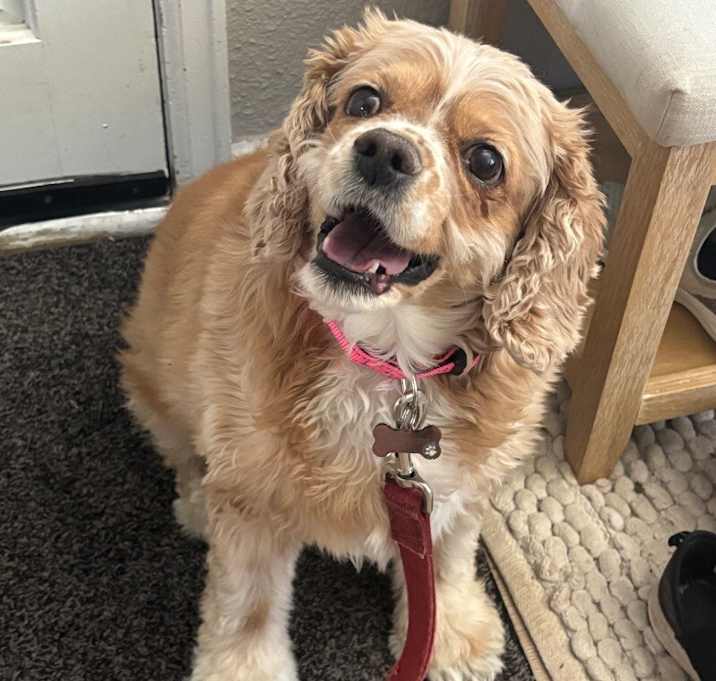 Photo of Butters