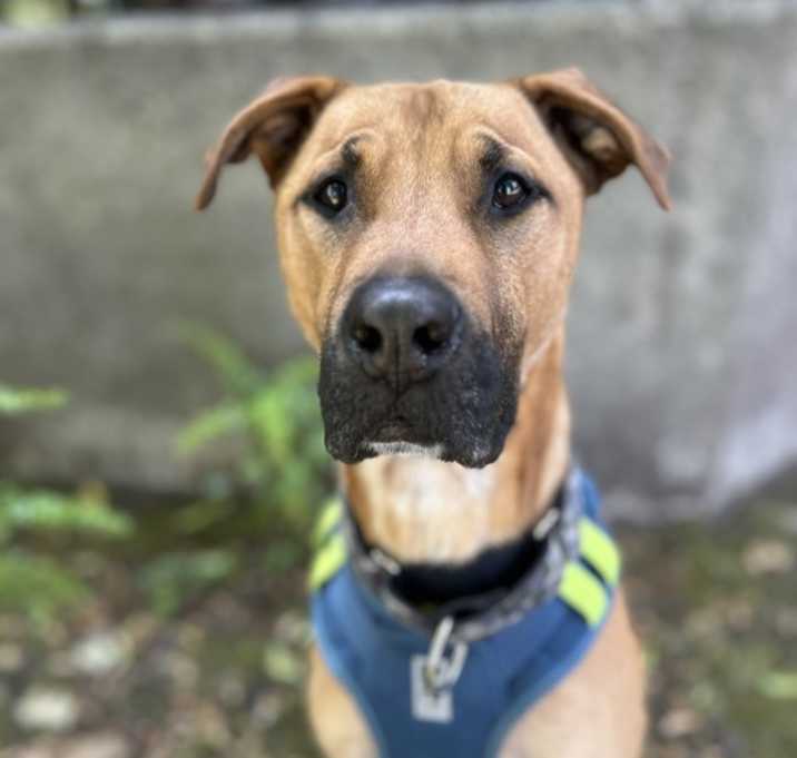 Photo of Cosmo