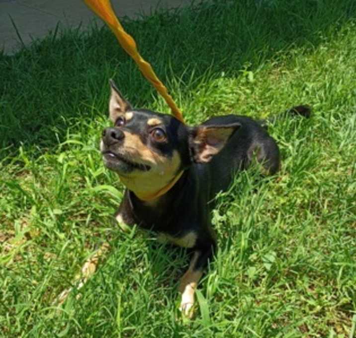Photo of Bubs