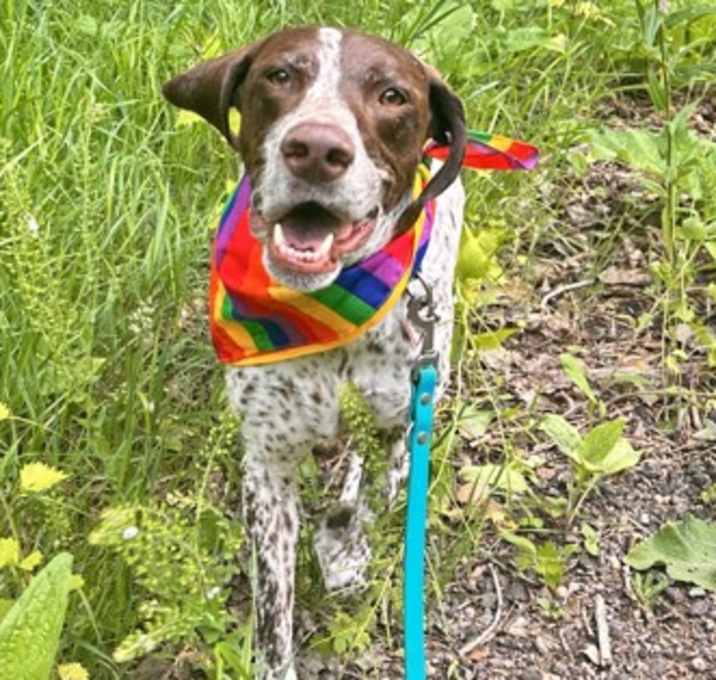 Photo of Banjo