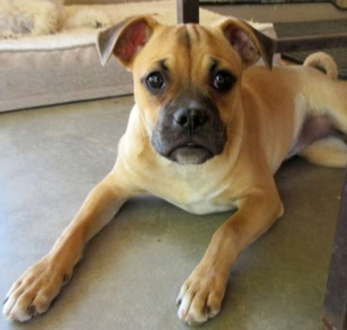 Photo of Rosie