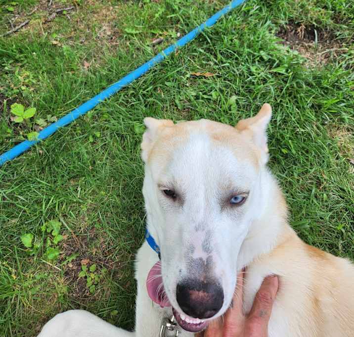Photo of Thor