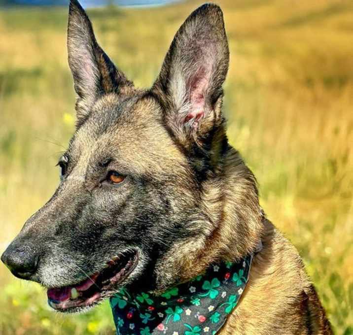 Photo of Sasha