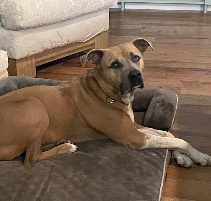 Photo of Murphy