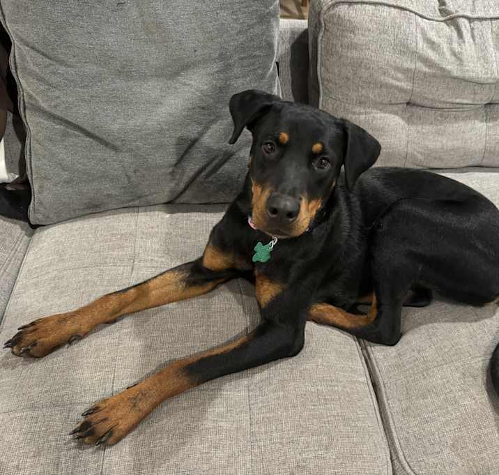 Photo of Echo