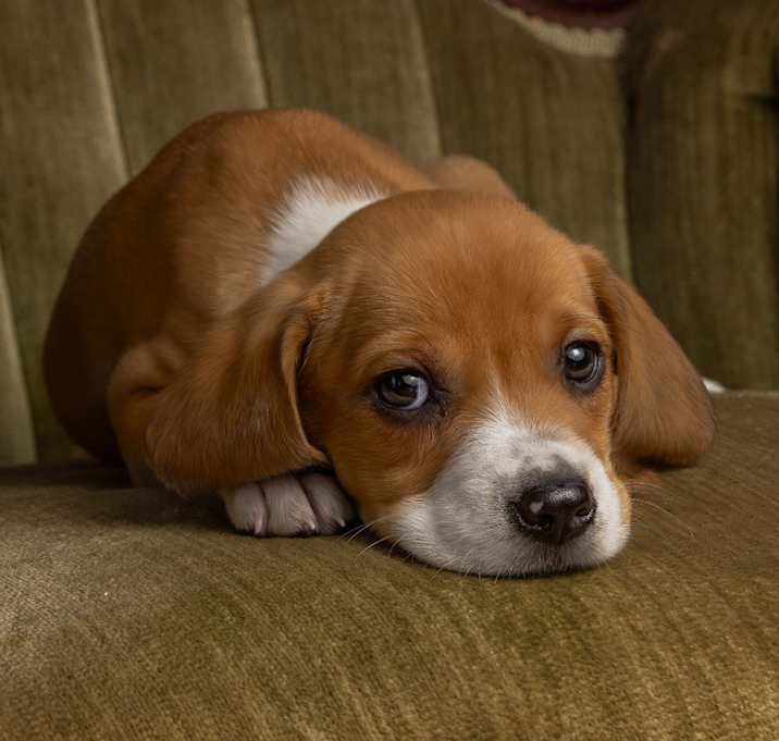 Photo of Sally