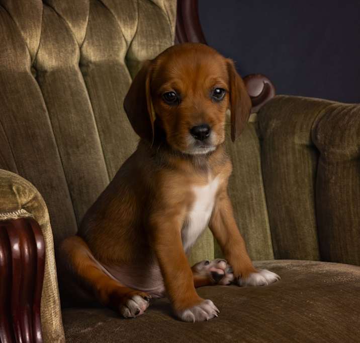 Photo of Charlie