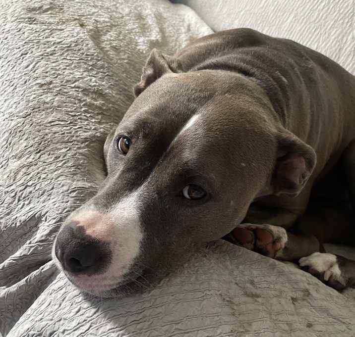 Photo of Margo