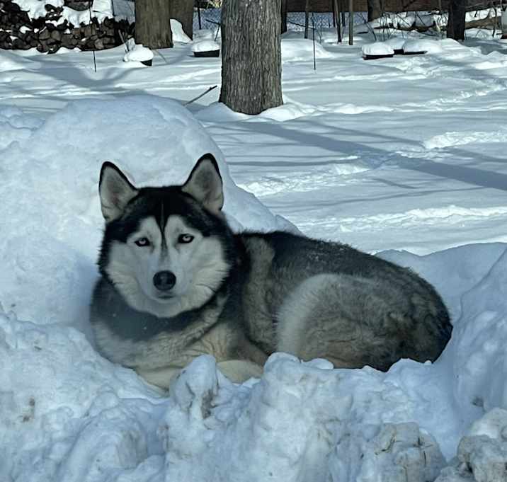 Photo of Keiko