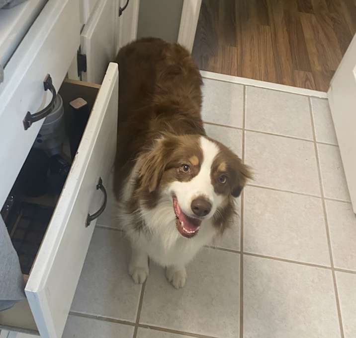 Photo of Maggie