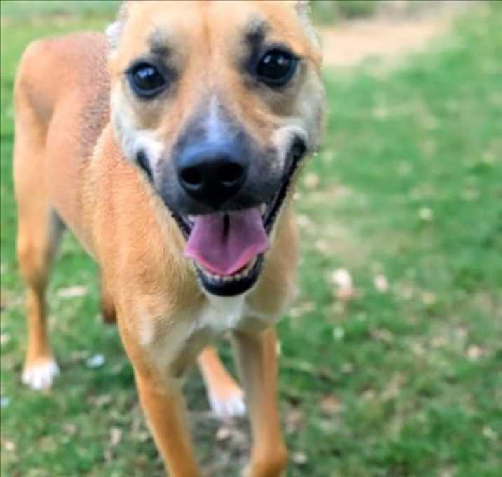 Photo of MIA