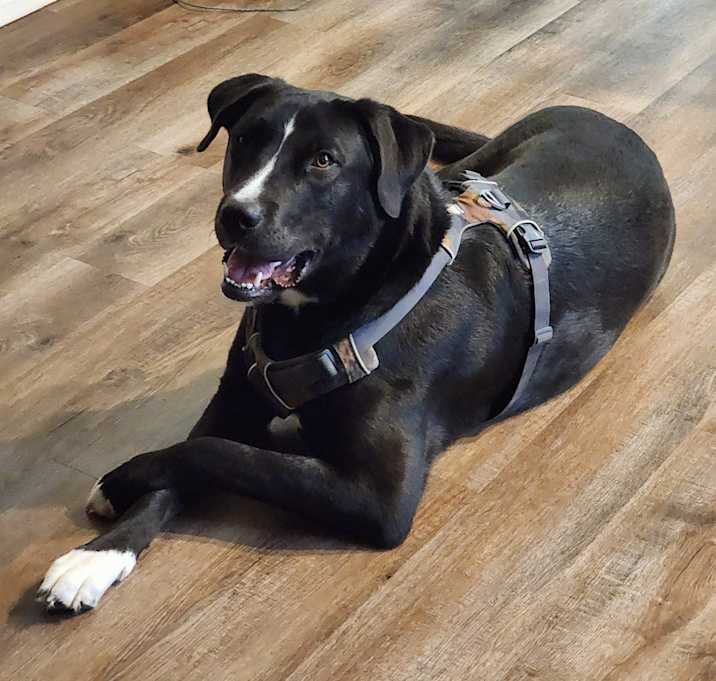 Photo of Spooky