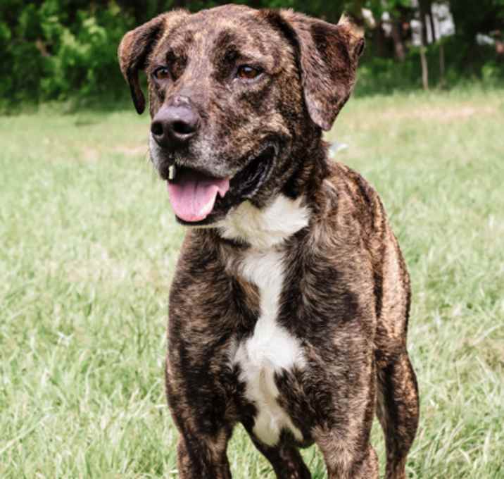 Photo of Morty