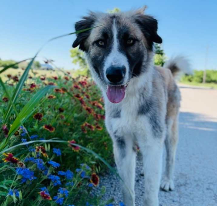 Photo of Phoebe