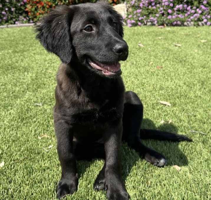 Photo of Osa