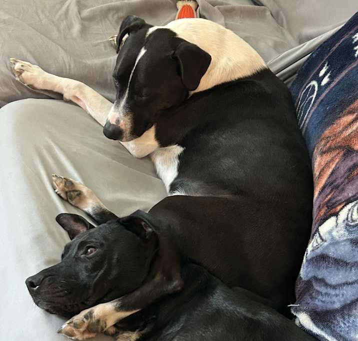 Photo of Beau and Ryleigh