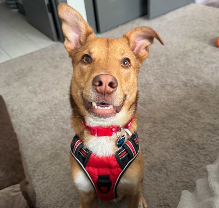 Photo of Maximus