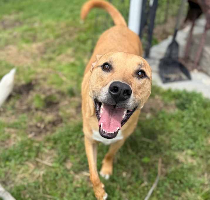 Photo of Mowgli