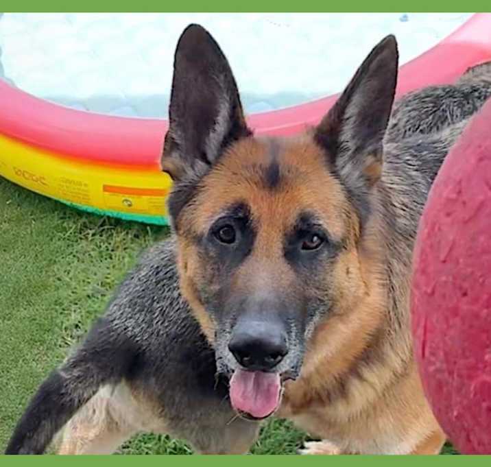 Photo of Axel