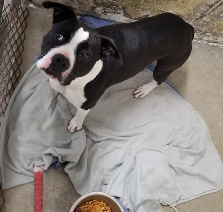 Photo of Izzy