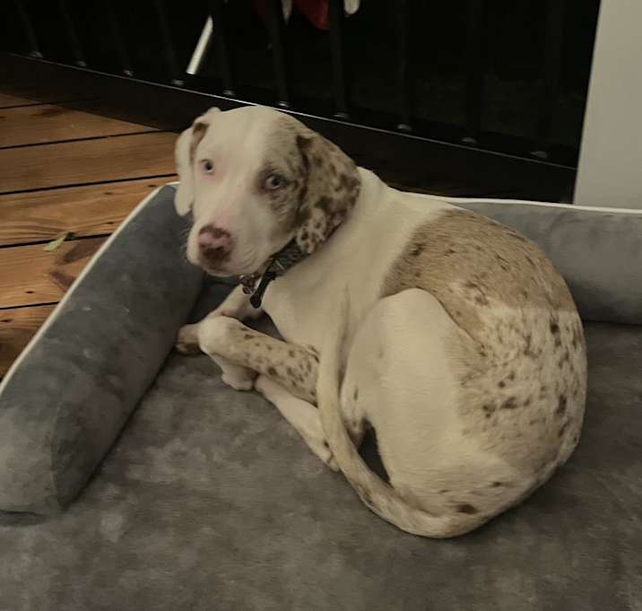 Photo of Ellie
