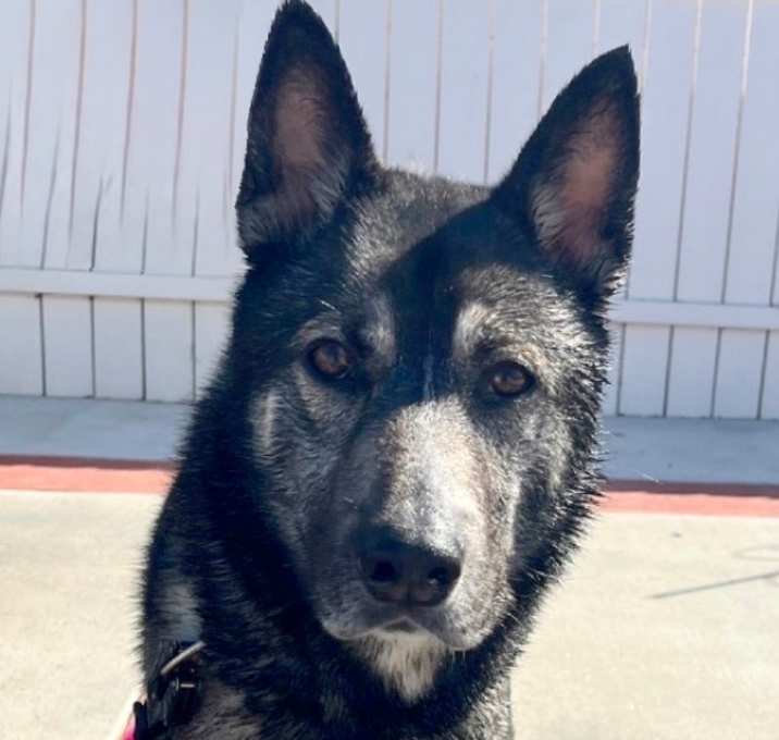 Photo of Jax