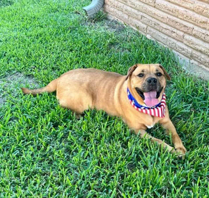 Photo of Baxter