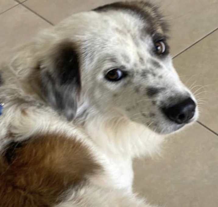 Photo of REMY
