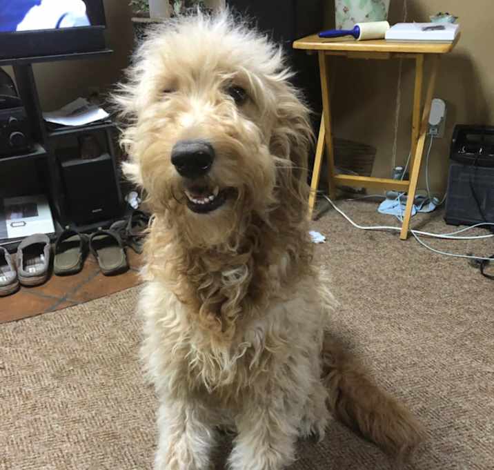 Photo of Bentley