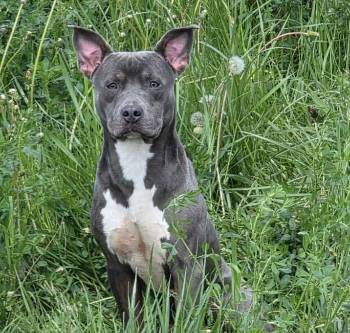 Photo of Small Sam