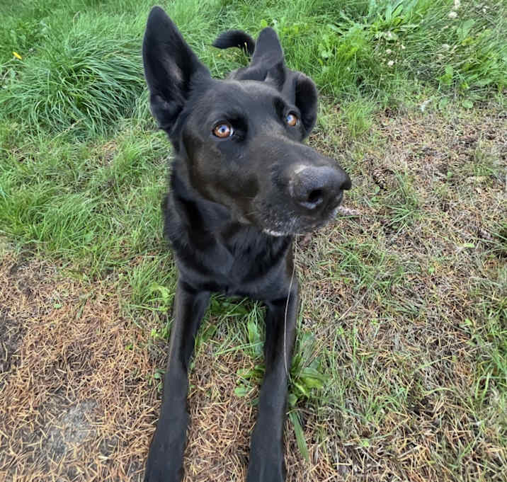 Photo of Stormy