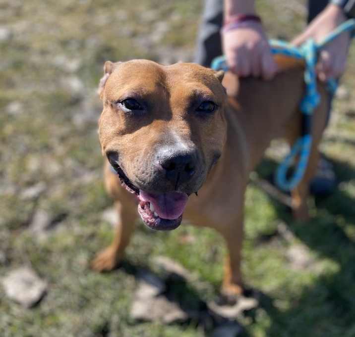 Photo of Skye-Stegar