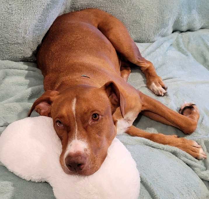 Photo of Tina