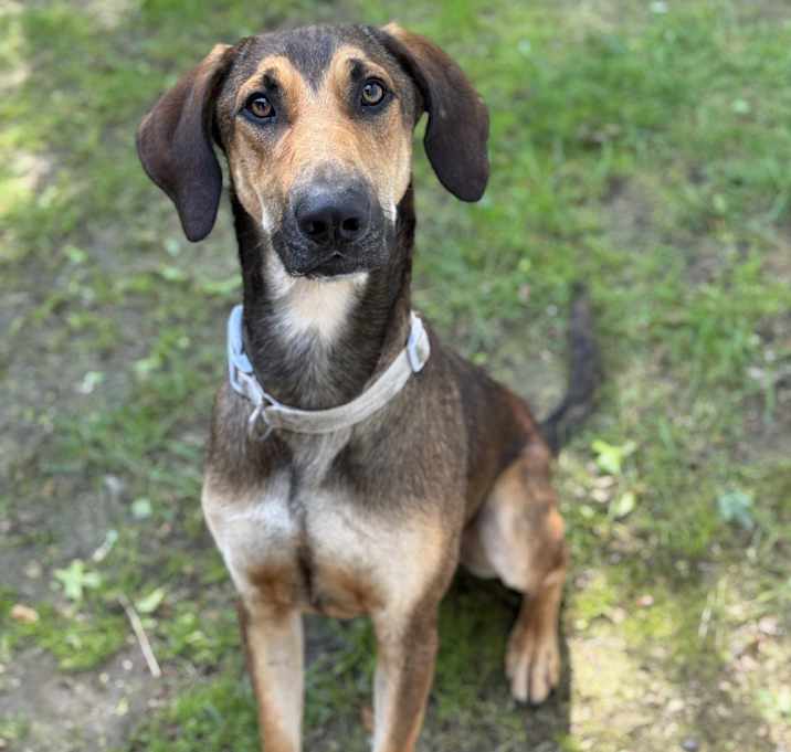 Photo of Timmy