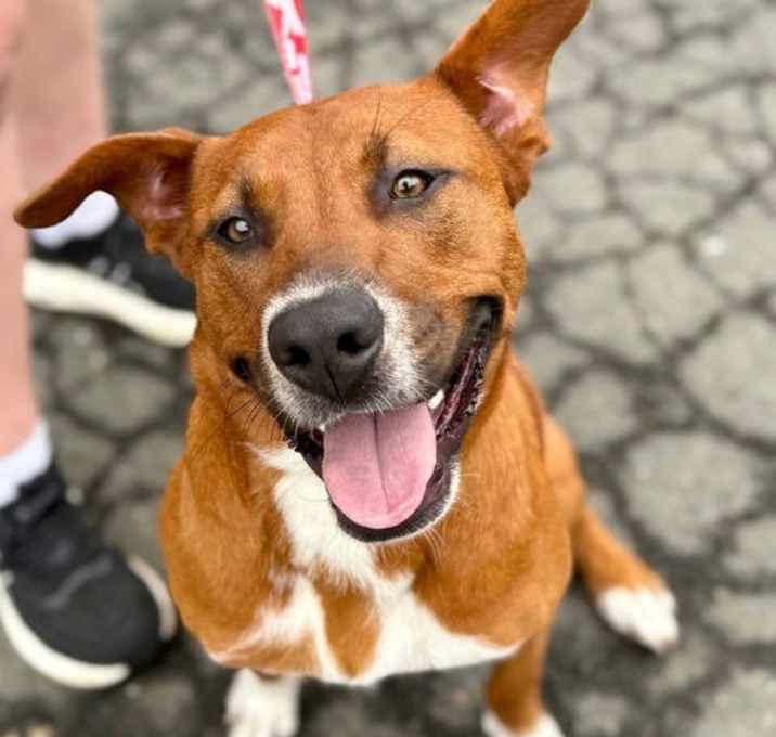 Photo of Diamond