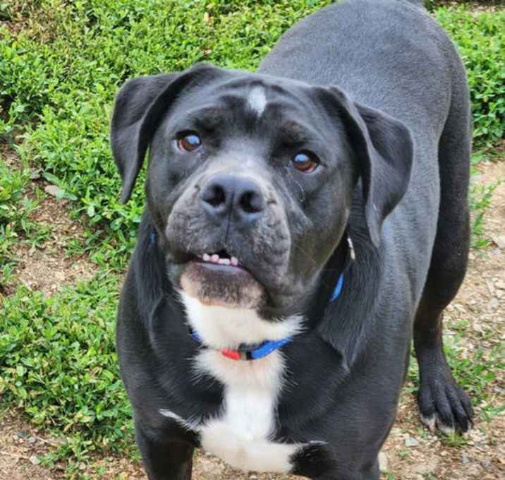 Photo of Buster