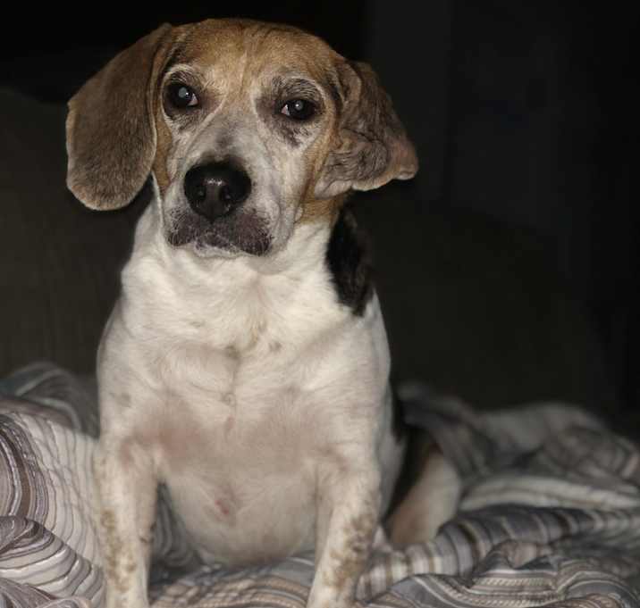 Photo of Benzey