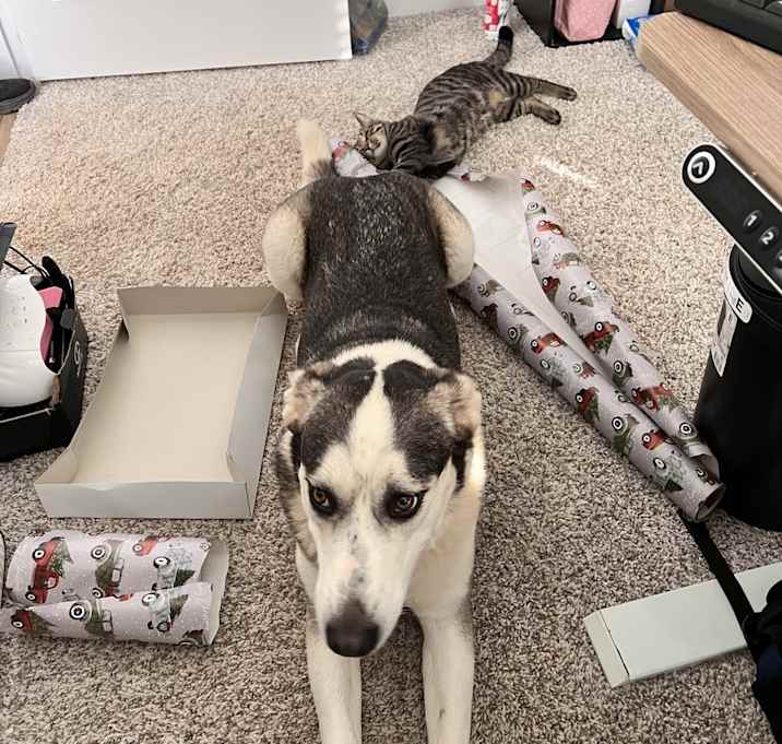 Photo of Zoe