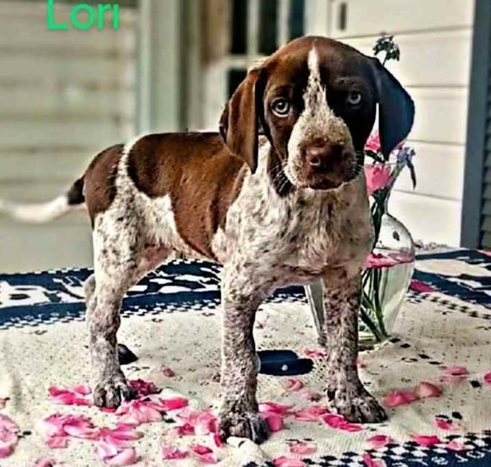 Photo of Lori URGENT BABY!
