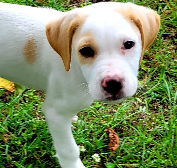 Photo of Sam