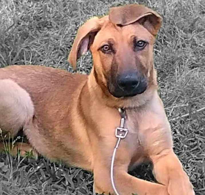 Photo of Damon URGENT BABY NEEDS HELP!