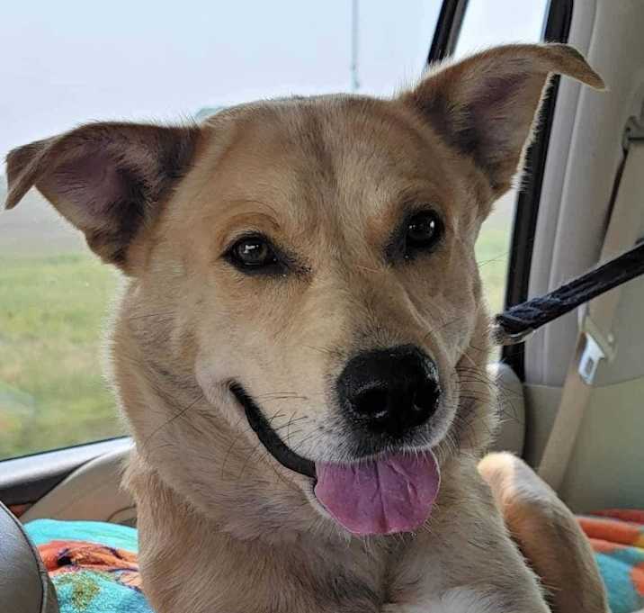 Photo of Ollie