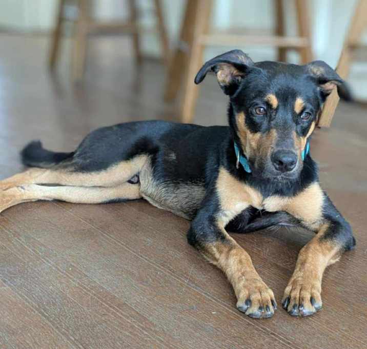 Photo of Reggie