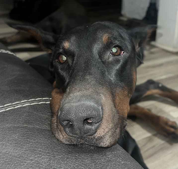 Photo of Hades