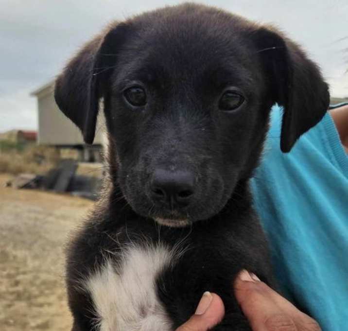 Photo of LuLu