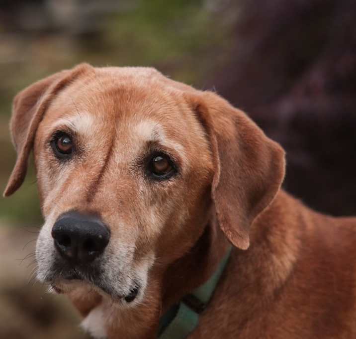 Photo of Jody